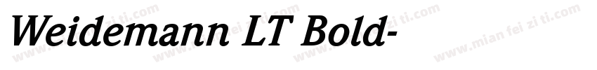 Weidemann LT Bold字体转换